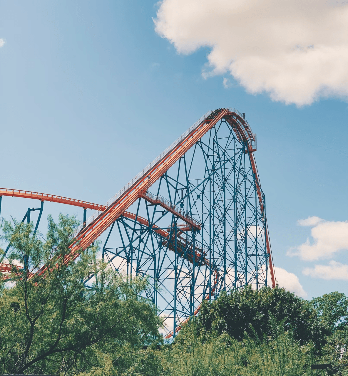 Join Spiky for a thrilling roller coaster ride at an amusement park, where we explore the essence of sales. 